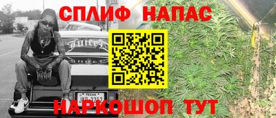 гидра Рузаевка