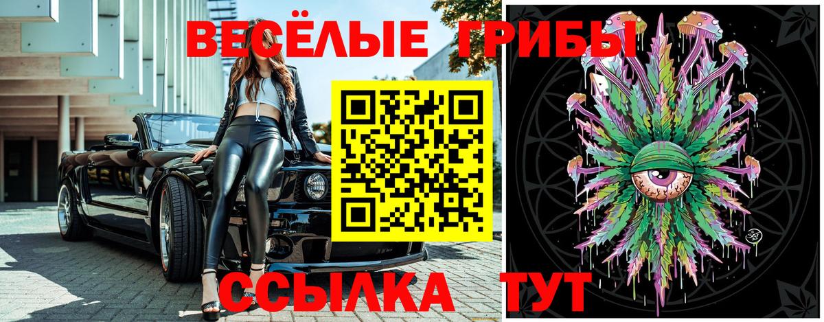 Россия  Псилоцибиновые грибы Cubensis  Вход с VPN  Галлюциногенные грибы ЛСД 