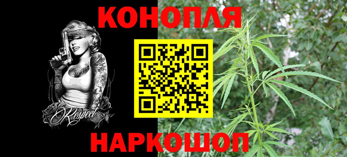 Каннабис индика  Конопля гибрид  Конопля планчик  Россия  Бошки Шишки план  Вход с VPN 